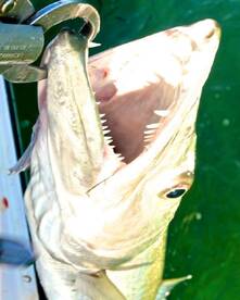 Fall Fishing is hot!!! 