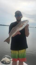 Red tide pushing out, hurricane past, an