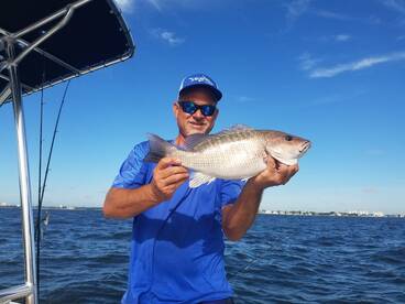 Bay Pines Report Photo 2