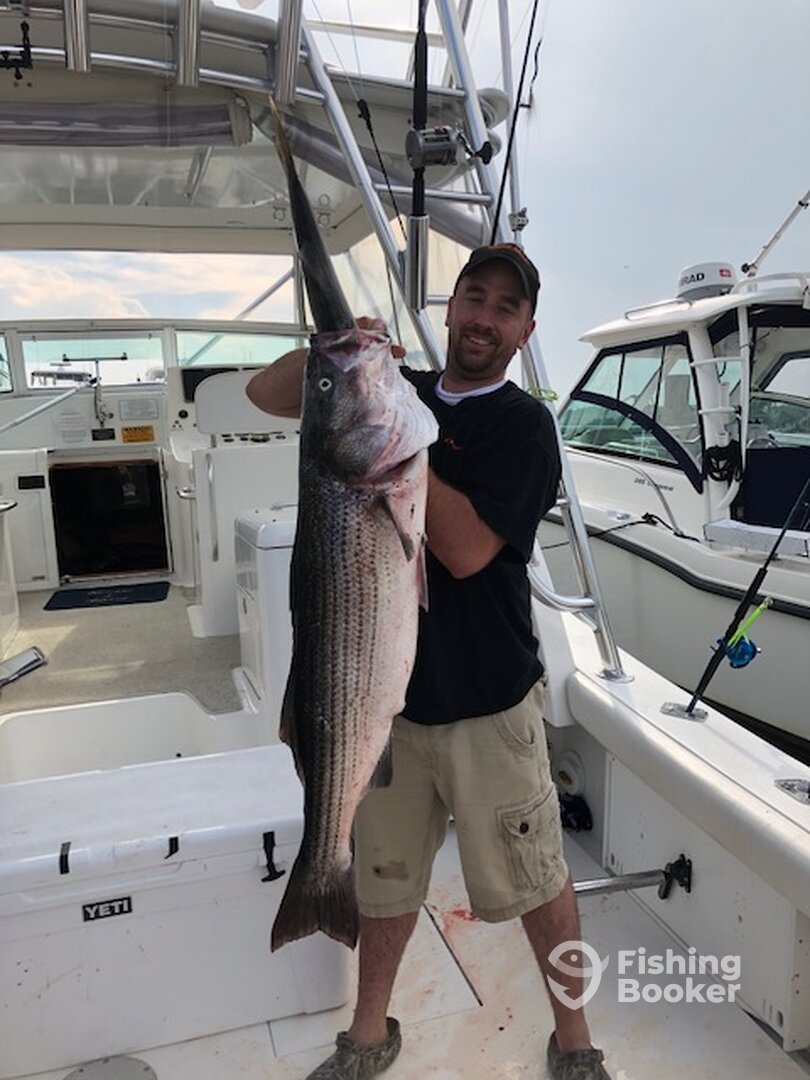 Stonington Report Photo 0