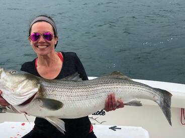 Stonington Report Photo 1