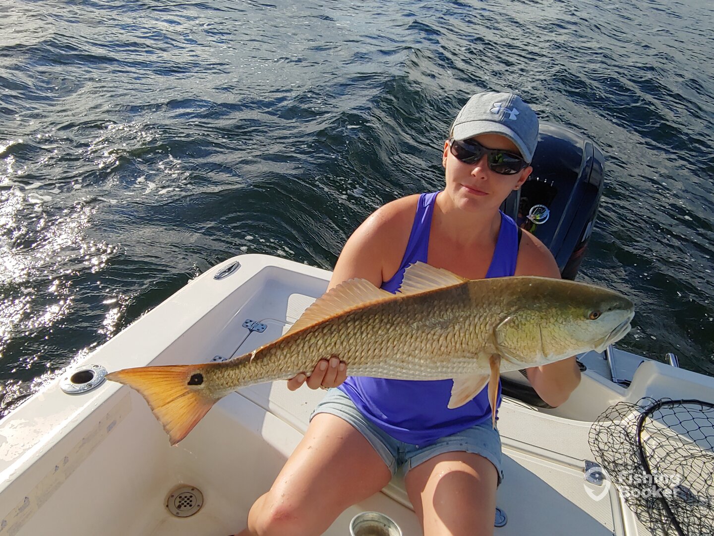 Port Orange Report Photo 0