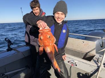 Reedsport Report Photo 1