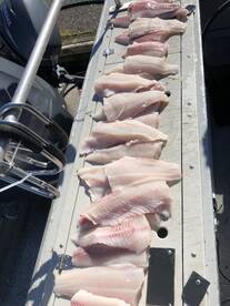 Reedsport Report Photo 2