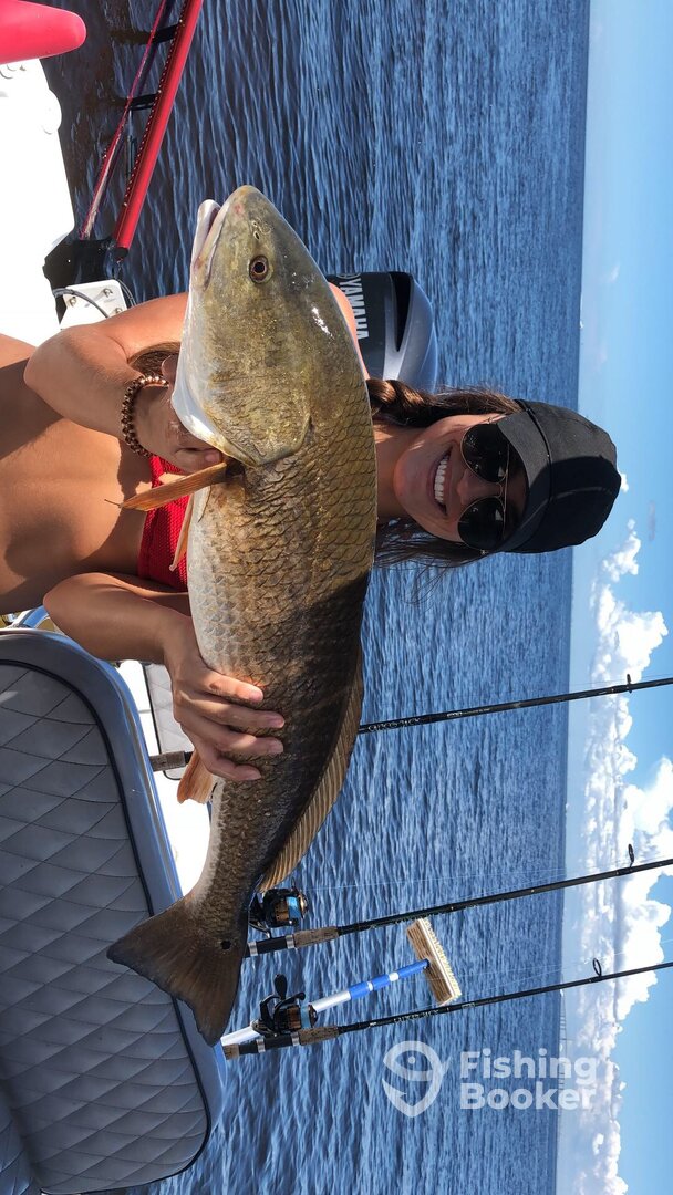 Sarasota Report Photo 0