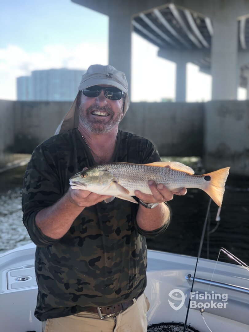 Orange Beach Report Photo 0