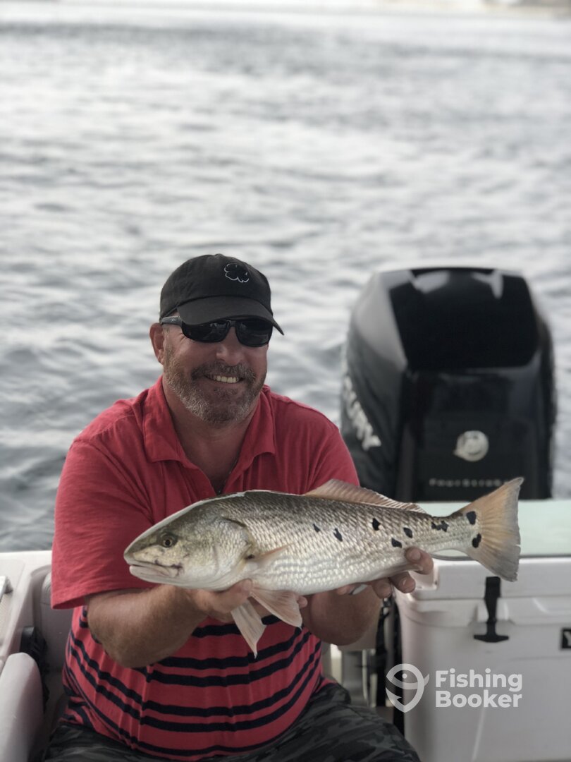 Orange Beach Report Photo 0