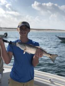 Orange Beach Report Photo 1