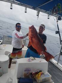 Puerto Vallarta Report Photo 1
