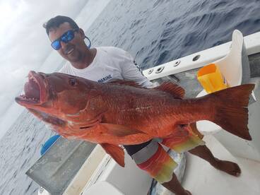 Puerto Vallarta Report Photo 2