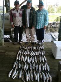 Cool tems, and ot Trout bite