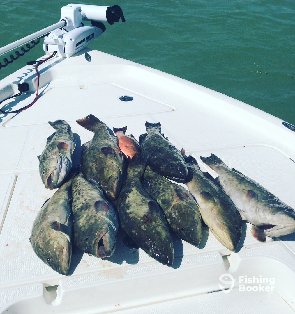 Clearwater Report Photo 0
