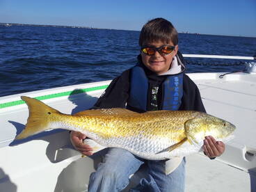 Fall Redfish