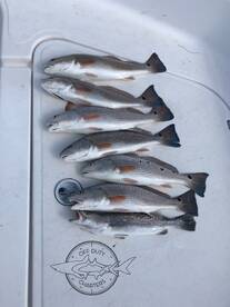 Fall bite is on fire 