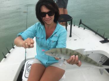 Big Pine Key Report Photo 1