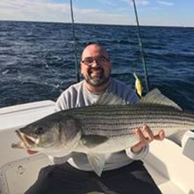 The bass have begun!