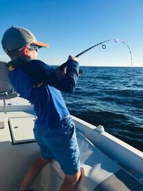Bay Pines Report Photo 1