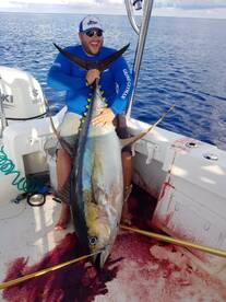 Large yellowfin tuna today could break  