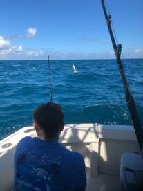 Fort Lauderdale Report Photo 1