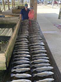 Trout frenzy! 