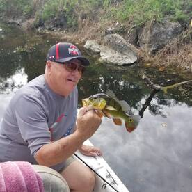 Bonita Springs Report Photo 2