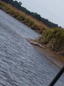 Darien Report Photo 1