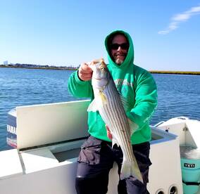 Striped Bass! - The fall run is about to