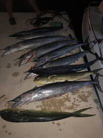 AFTER THE NEW Cayman Islands RECORD YELL