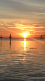 Tampa Bay Sunrise onboard Somewhere South Fishing