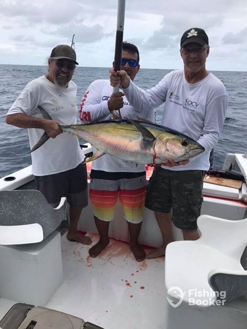 Puerto Vallarta Report Photo 0