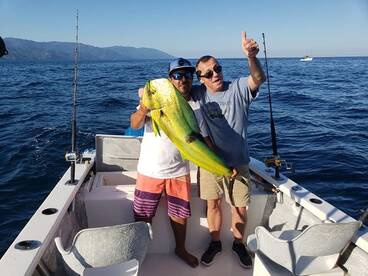 Puerto Vallarta Report Photo 1