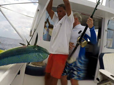 Le Morne Report Photo 2