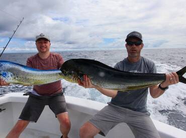 Quepos Report Photo 2