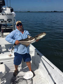 Crystal River Report Photo 2