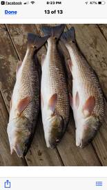 Crystal River Report Photo 1