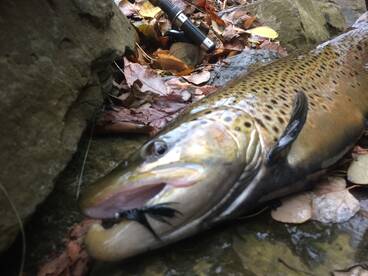 A little after work fun