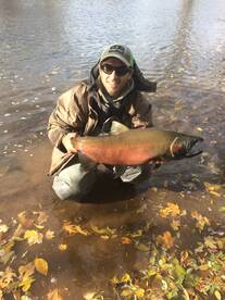 After work quick trip