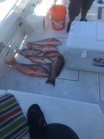 Fort Pierce Report Photo 2