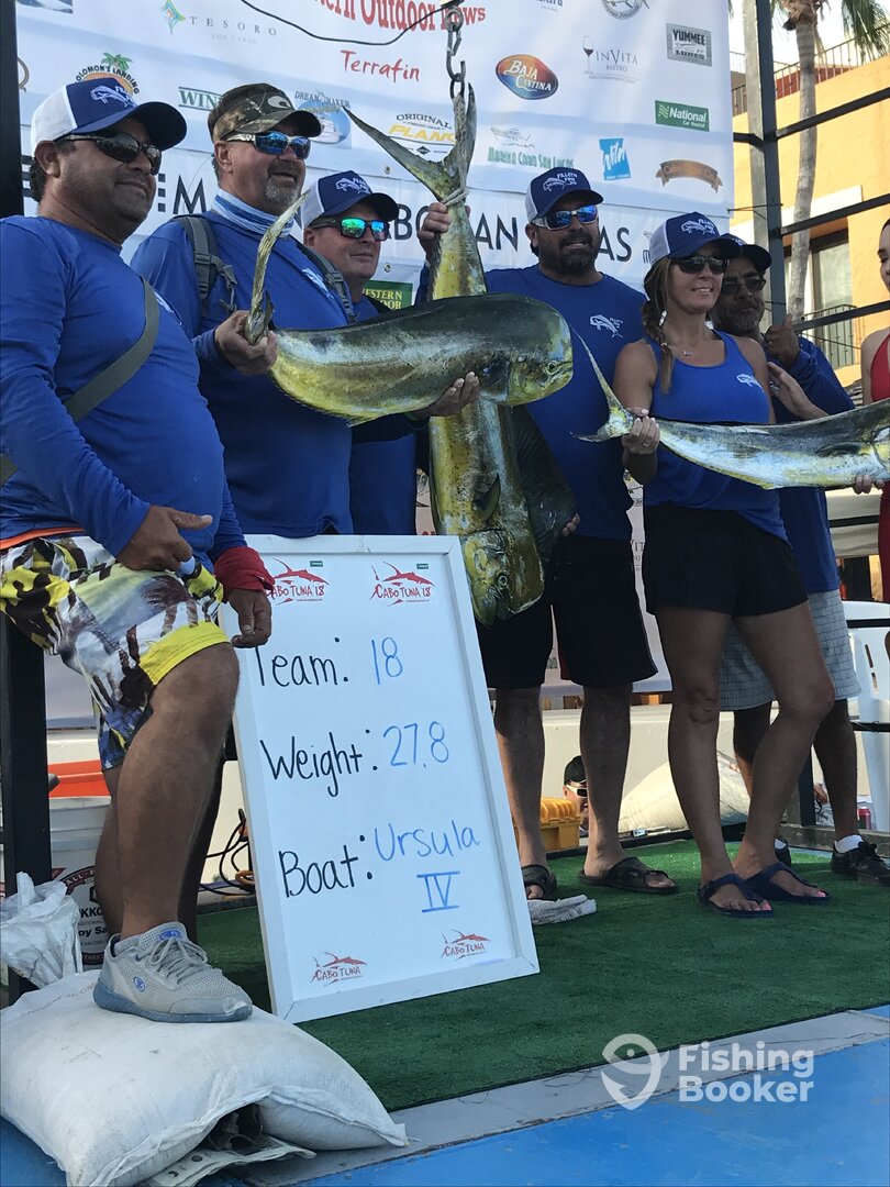 Cabo San Lucas Report Photo 0