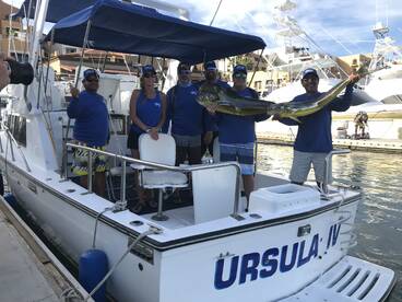 Cabo San Lucas Report Photo 2