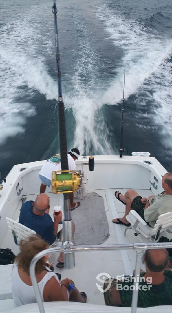 Zihuatanejo Report Photo 0