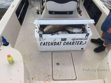 Theriot Report Photo 1