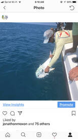 Big Pine Key Report Photo 1
