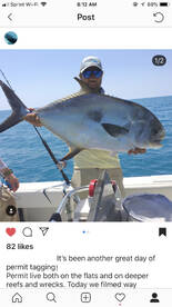 Big Pine Key Report Photo 2