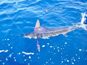 Quepos Report Photo 1