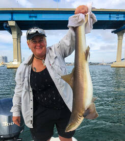 San Diego Report Photo 1