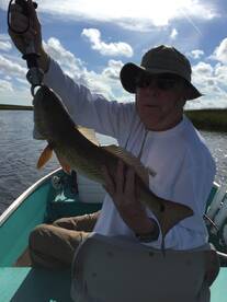 Fired up creeks producing solid redfish!