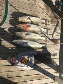 Lacey Township Report Photo 1