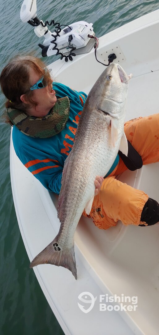 Port Orange Report Photo 0