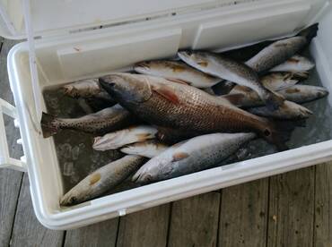 Cold front equals Hot Trout bite